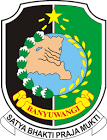 Logo LPSE LPSE Kabupaten Banyuwangi - dzkkonstruksi.com