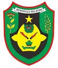 Logo LPSE LPSE Kabupaten Bengkulu Selatan - dzkkonstruksi.com