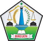 Logo LPSE LPSE Kabupaten Bireuen - dzkkonstruksi.com