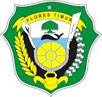 Logo LPSE LPSE Kabupaten Flores Timur - dzkkonstruksi.com
