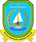Logo LPSE LPSE Kabupaten Kepulauan Anambas - dzkkonstruksi.com