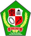 Logo LPSE Kabupaten Pidie - dzkkonstruksi.com