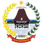 Logo LPSE LPSE Kota Gunungsitoli - dzkkonstruksi.com
